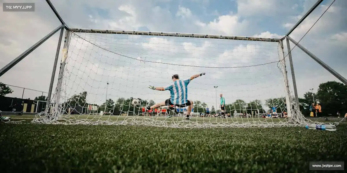 im电竞在这里,每一份努力都值得被看见👀